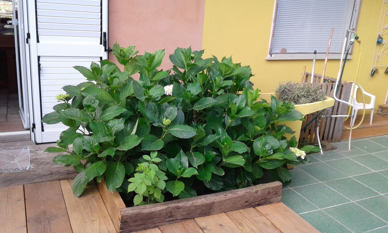 Bed and Breakfast Il Tarlo Seneghe Экстерьер фото